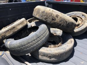 Tires pulled out of the mangroves during the 2019 cleanup. (Photo by Kristin Wilson Grimes)