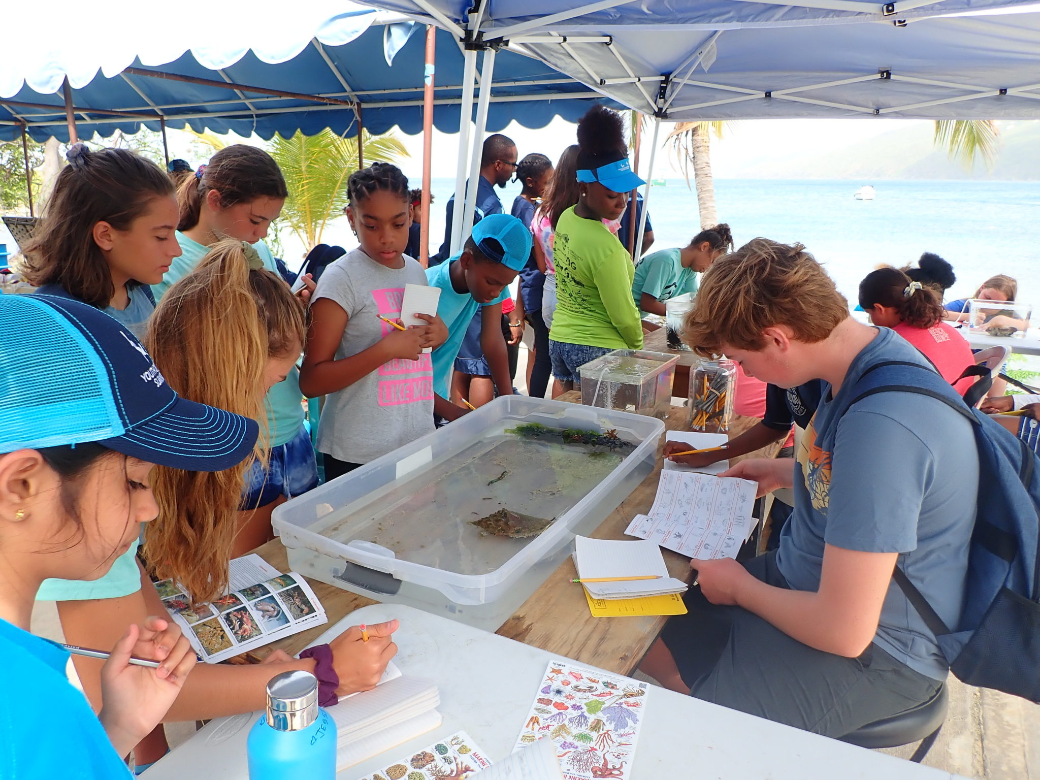 Students that participate in the Youth Ocean Explorers Program get to learn marine science in a hands on learning environment (Photo Courtesy of Youth Ocean Explorers Program)