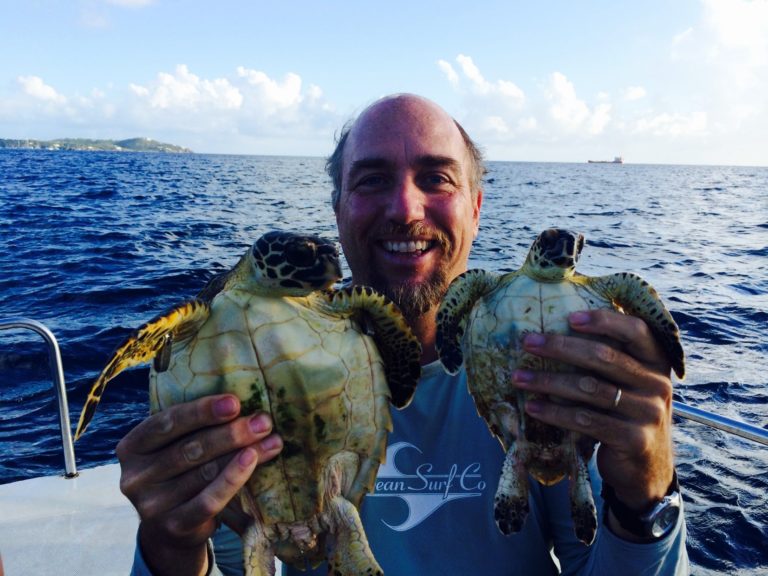 National Save the Sea Turtle Foundation Donates to Expand UVI’s Turtle Research