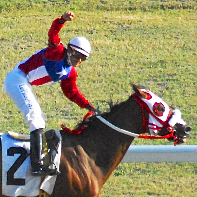 Gato Paso, Puerto Rican Emblem Lead Field in Featured Race