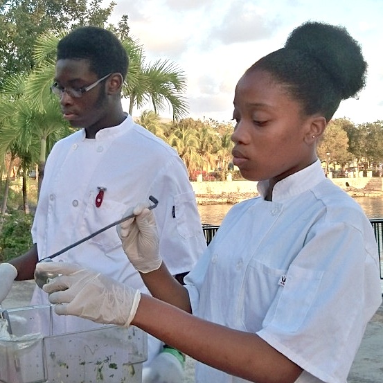 St. Croix Foodies Experience a Sunset Barbecue