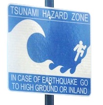 VITEMA Putting Up Tsunami Signs