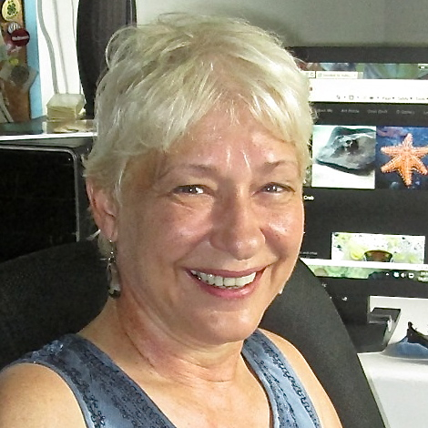 Not for Profit: SnorkelSTJ Is a Labor of Love