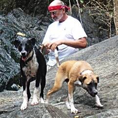 Dog Park in the Works for St. John
