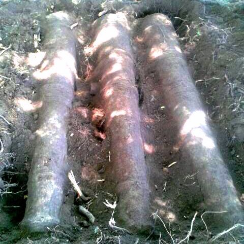 Old Cannons Found on Cruz Bay Beach