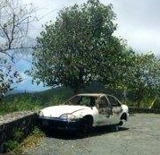 Answer Desk: Who Removes Abandoned Vehicles?
