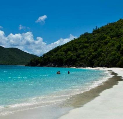 Maho Bay Needs Ideas for Giveaway