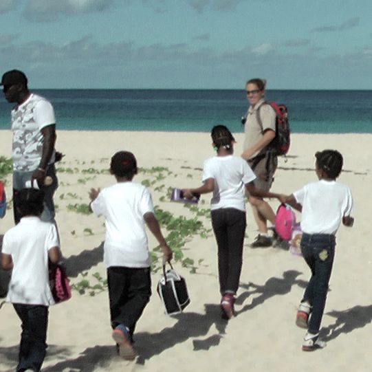 Beach Environment Alive with Learning