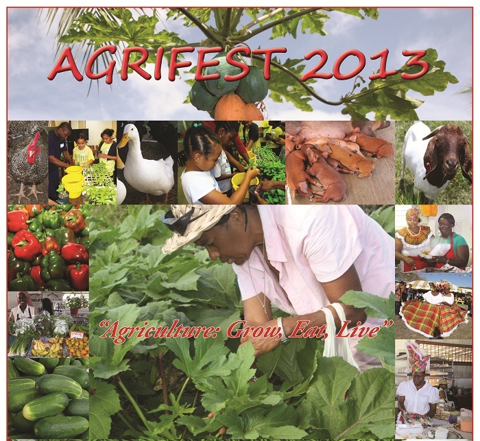 Local Produce, Food and Culture at V.I. Agrifest This Weekend