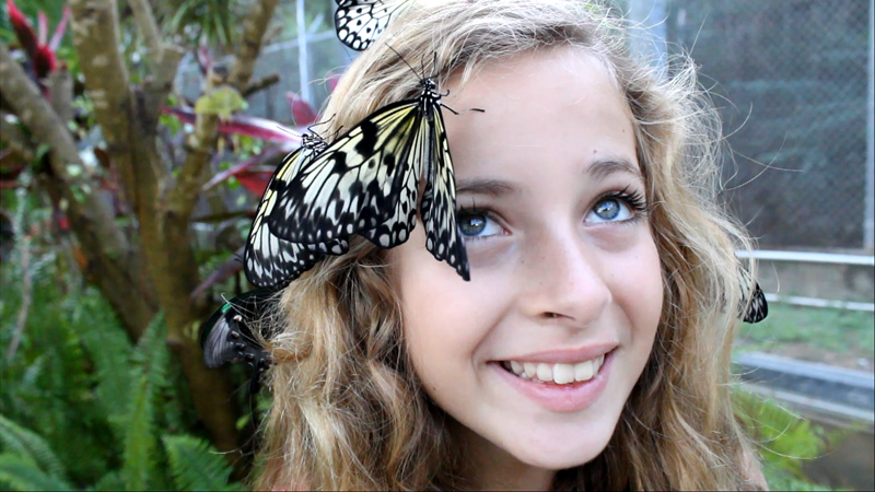 Coral World Gives New Wings to Former Butterfly Farm