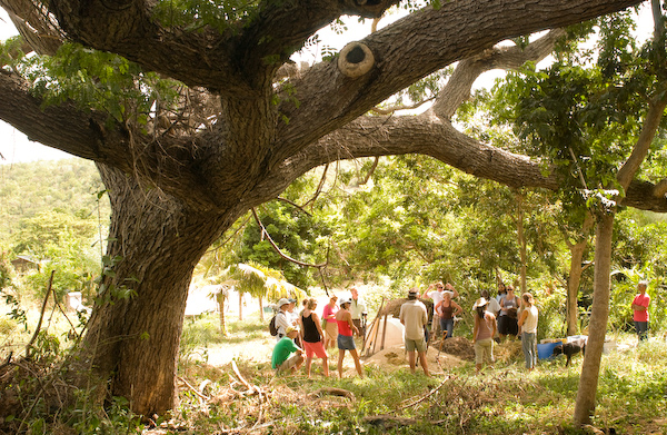 Summer Session Course Offered on Agroforestry in the Caribbean