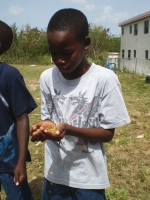 St. Croix Farm Project Vies for Geotourism Award