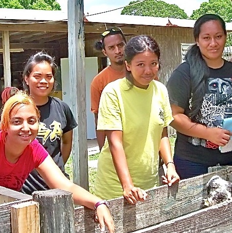 International University Students Intern at UVI