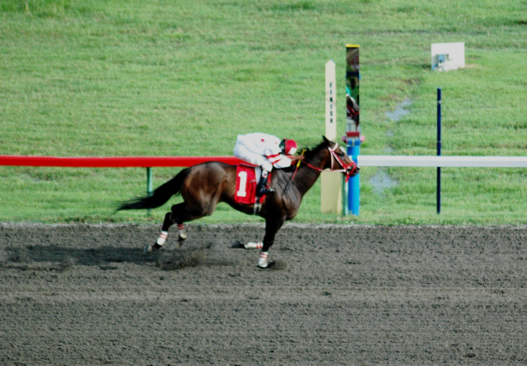 Formal King Rules the Day in Memorial Day Feature