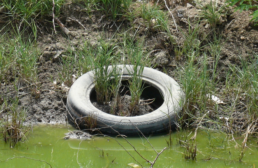 Feds to Provide $1.2M to Clean Up Tires