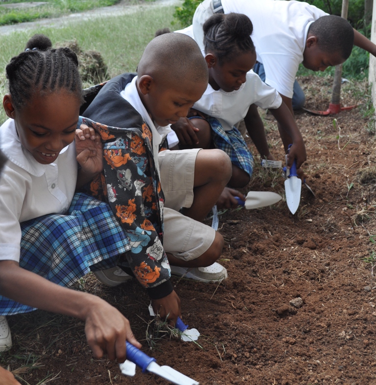 Kids Plant Seeds for Success at Markoe Elementary