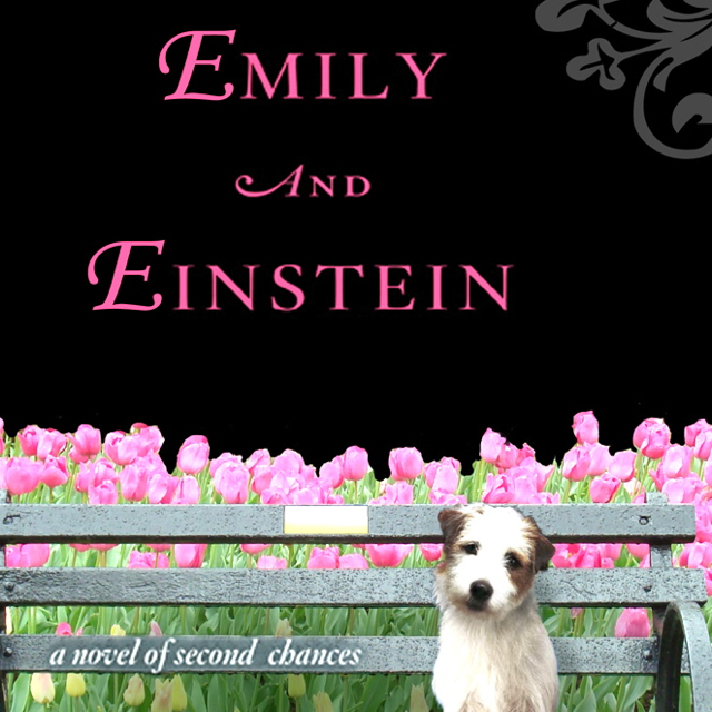 Looking for a Cute Read? 'Emily & Einstein' is a Charmer