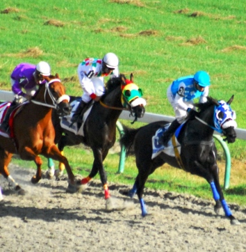 Racino Winning Some, Losing Some, Senate Committee Hears