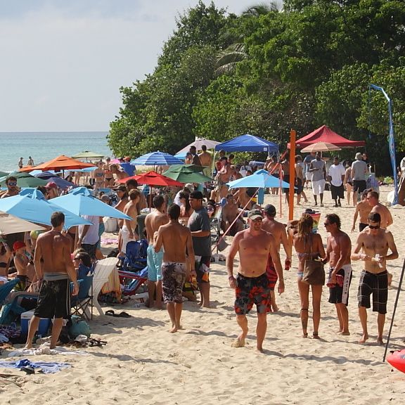 Annual Beach Event Celebrates the Reef