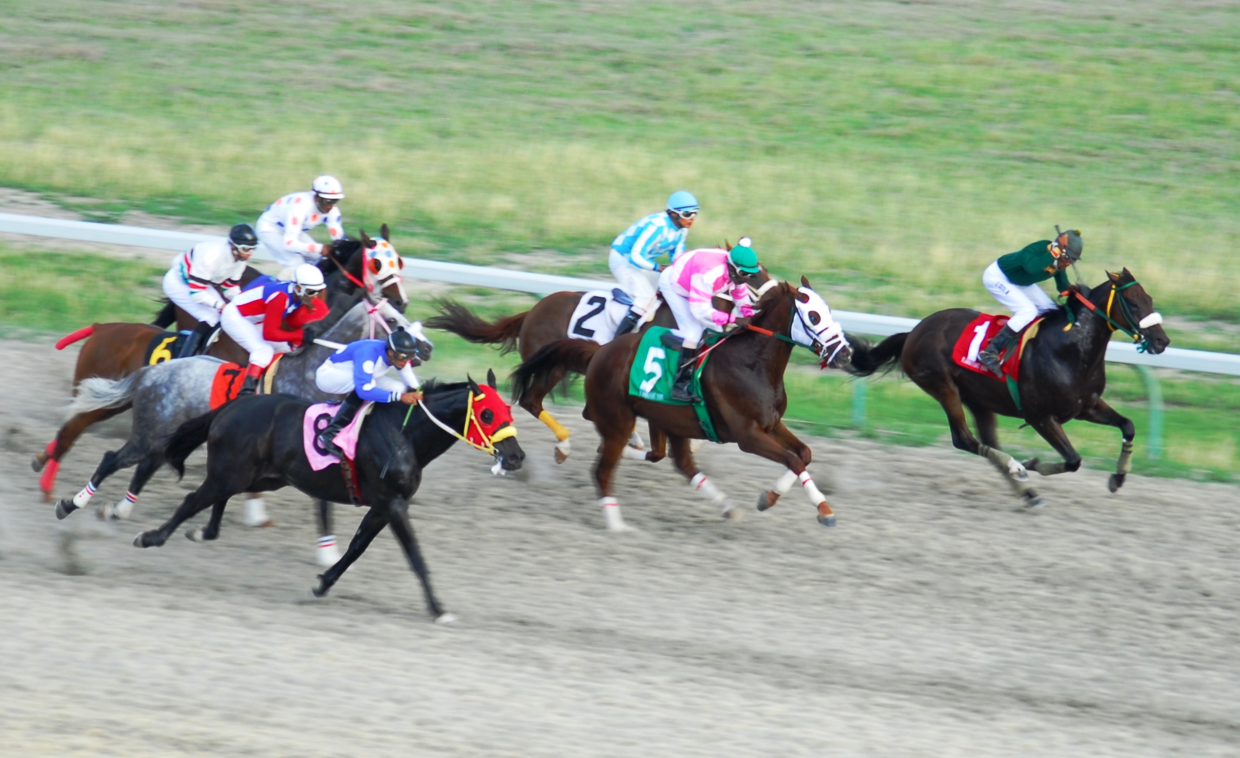 Memorial Day Classic Highlights TRAXCO’s Eight-Race Card