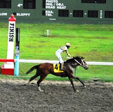 Parachute Coney Pulls Huge Upset in Memorial Day Feature