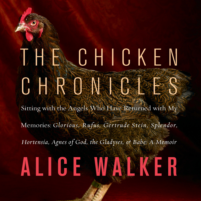 The Bookworm Says: 'Chicken Chronicles' Is a Captivating Memoir