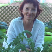 Not for Profit: GrowVI Seeks Sustainable Nourishment