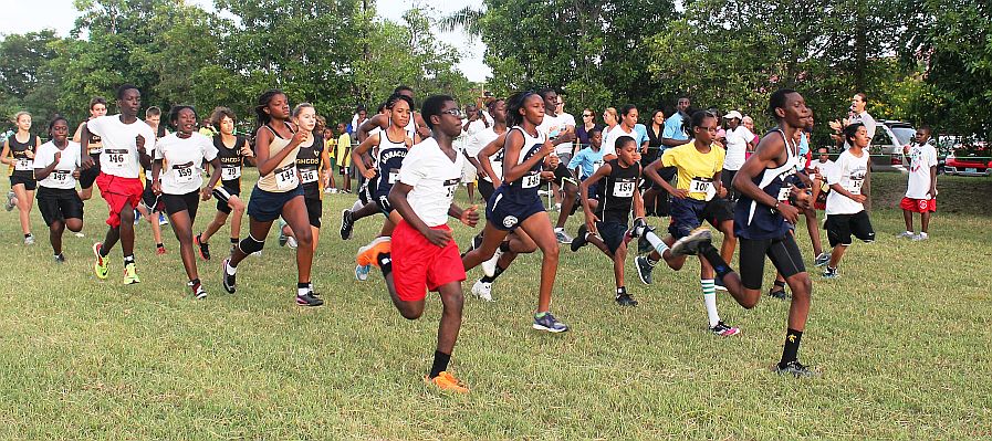 V.I. Pace Runners/4H Cross Country Series Continues