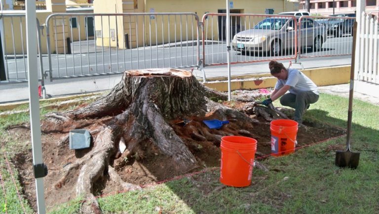 NPS Conducts Hospital Street Dig on International Archeology Day