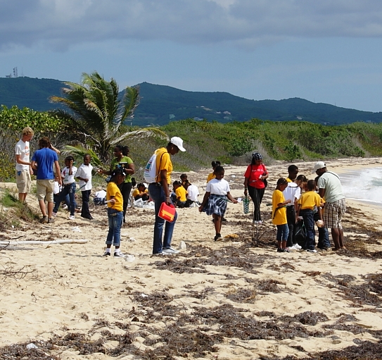 A Beach for a Classroom at Eco Field Day