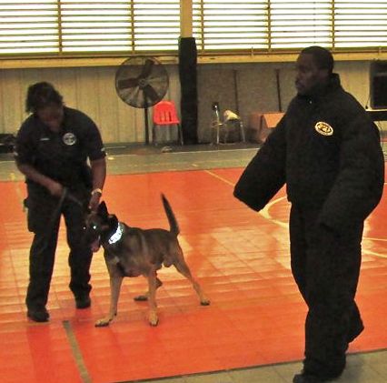 Learning About Police Dogs at Good Hope Country Day School