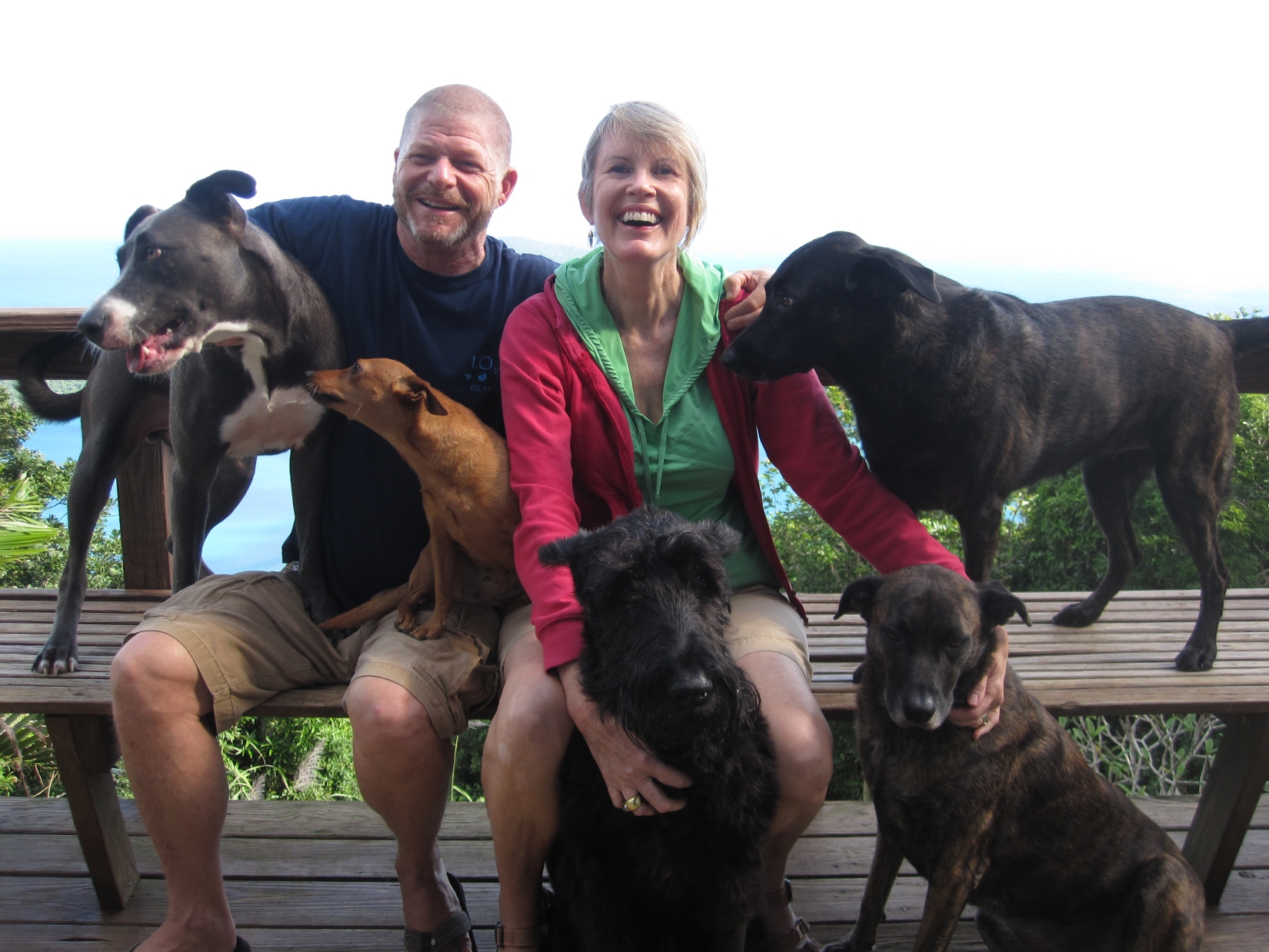 Humane Society of St. Thomas Elects New Board of Directors, President