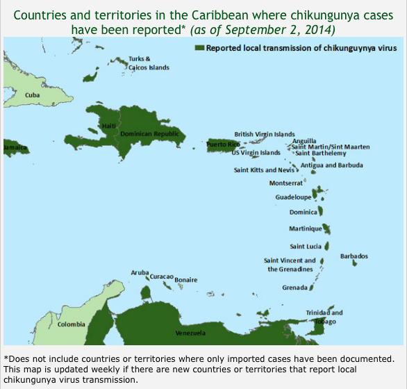 Health Department: Spike in Mosquito-borne Chikungunya Virus